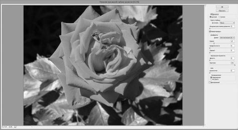 Александр Заика - Photoshop для начинающих