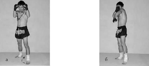 Аман Атилов, Бим Бэкман - 100 лучших приёмов тайландского бокса