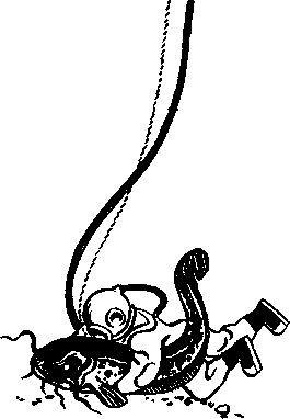 Константин Золотовский - Рыба-одеяло