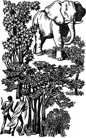 Гбанфу - Камелефата