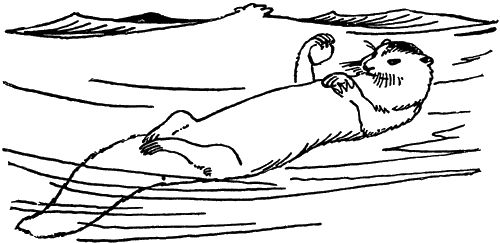 Игорь Акимушкин - С утра до вечера