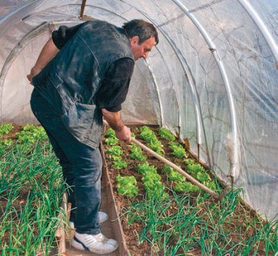 Лариса Петровская - Большая книга дачника