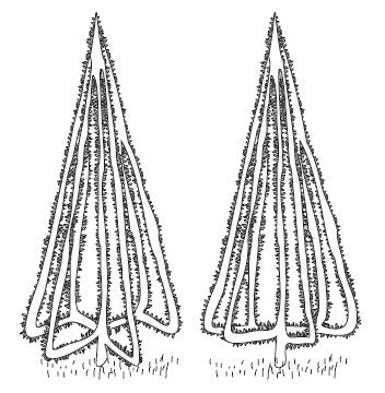 Лариса Петровская - Большая книга дачника