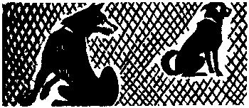 Петр Заводчиков, Семен Самойлов - Девичья команда. Невыдуманные рассказы