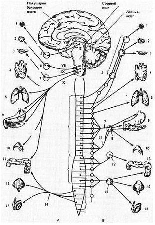 Игорь Воронов - Психотехника восточных единоборств