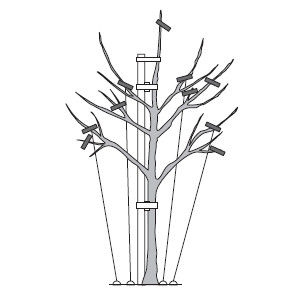 Лариса Петровская - Большая книга дачника