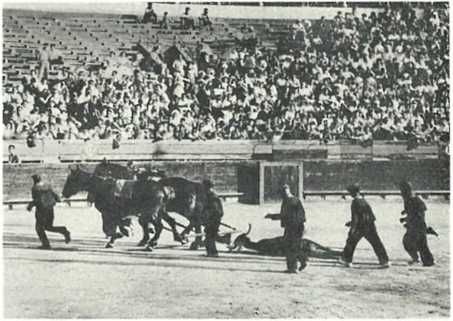 Бернгард Гржимек - Дикое животное и человек