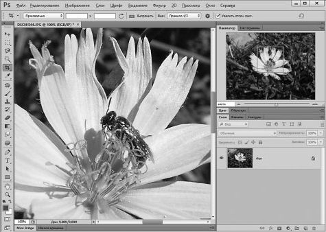 Александр Заика - Photoshop для начинающих
