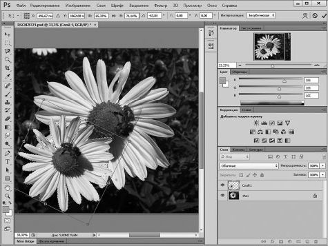 Александр Заика - Photoshop для начинающих