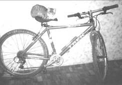 Татьяна Козырева - Девушка с веслом