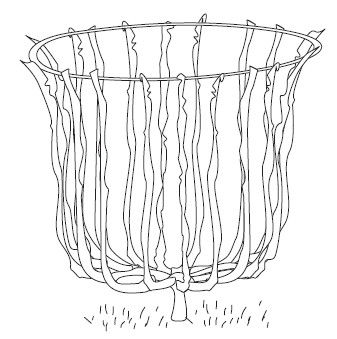 Лариса Петровская - Большая книга дачника