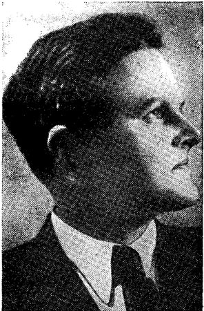 Дэвид Ирвинг - Вирусный флигель