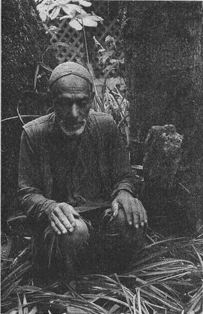 Хольгер Керстен - Иисус жил в Индии