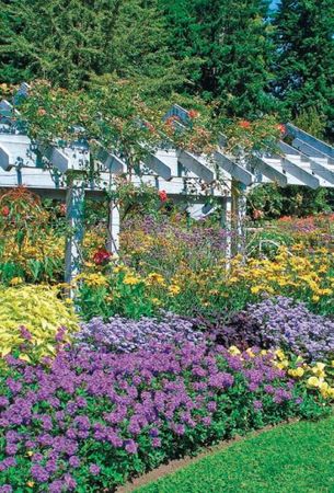 Лариса Петровская - Большая книга дачника