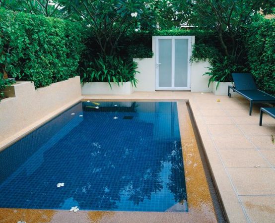 Лариса Петровская - Большая книга дачника