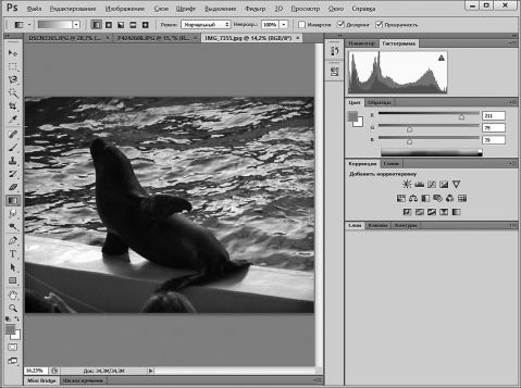 Александр Заика - Photoshop для начинающих