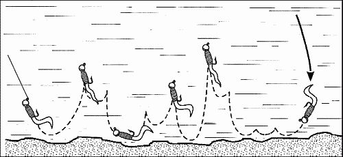 Сергей Смирнов, Александр Пышков - Клёвая книга современного спиннингиста