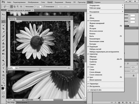 Александр Заика - Photoshop для начинающих