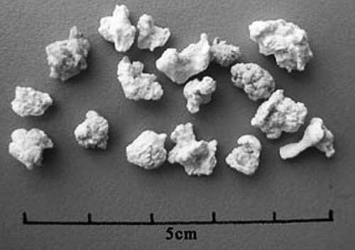 Андрей Скляров - По следам Ковчега Завета