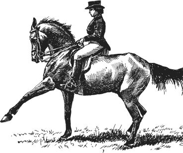 Наталья Сердцева - 99 секретов астрономии