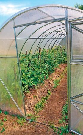 Лариса Петровская - Большая книга дачника