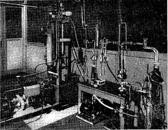 Дэвид Ирвинг - Вирусный флигель