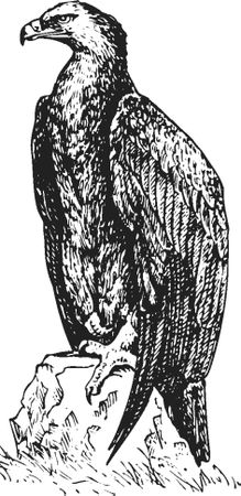 Наталья Сердцева - 99 секретов астрономии