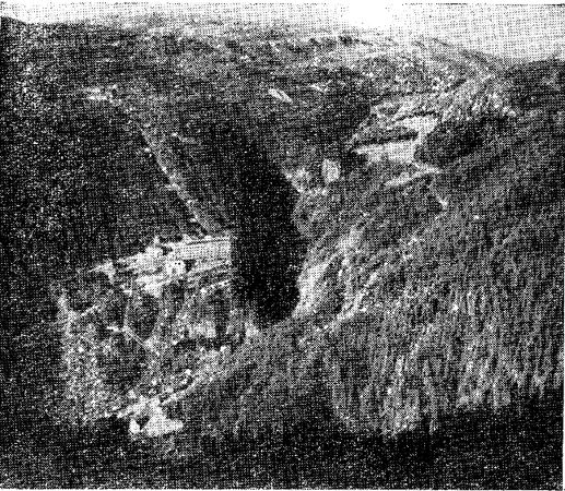 Дэвид Ирвинг - Вирусный флигель