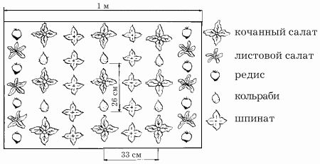Наталья Иванова - Планировка участка