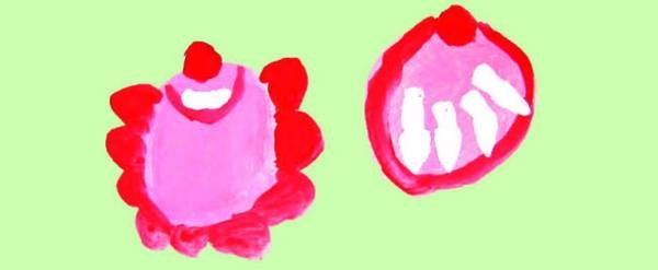 Дарья Колдина - Рисование с детьми 4-5 лет. Конспекты занятий