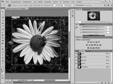 Александр Заика - Photoshop для начинающих