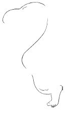 Владимир Никитин - Пластикодрама: Новые направления в арт-терапии