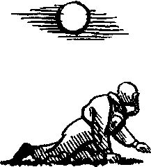 Константин Золотовский - Рыба-одеяло