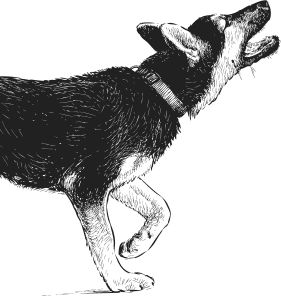 Наталья Сердцева - 99 секретов астрономии