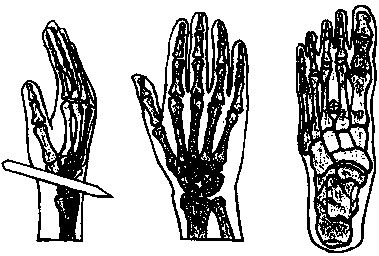Хольгер Керстен - Иисус жил в Индии