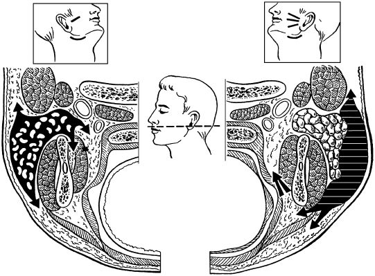 В. Лебедев, Геннадий Семенов - Топографическая анатомия и оперативная хирургия...