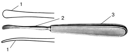 В. Лебедев, Геннадий Семенов - Топографическая анатомия и оперативная хирургия...
