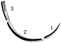 Топографическая анатомия и оперативная...