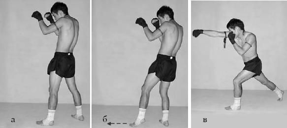 Аман Атилов, Бим Бэкман - 100 лучших приёмов тайландского бокса