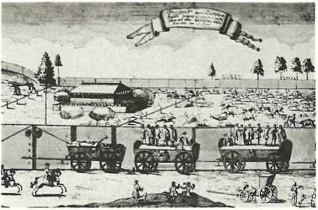 Бернгард Гржимек - Дикое животное и человек