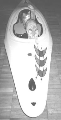 Татьяна Козырева - Девушка с веслом