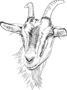 Наталья Сердцева - 99 секретов астрономии