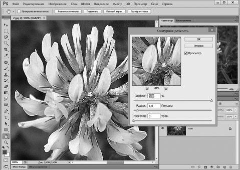 Александр Заика - Photoshop для начинающих