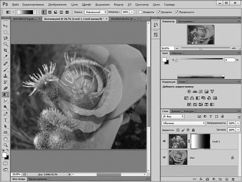Александр Заика - Photoshop для начинающих