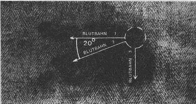 Хольгер Керстен - Иисус жил в Индии