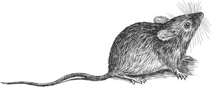 Наталья Сердцева - 99 секретов астрономии