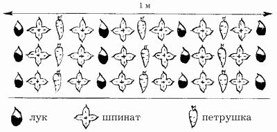 Наталья Иванова - Планировка участка