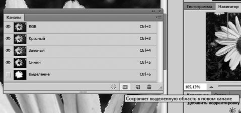 Александр Заика - Photoshop для начинающих