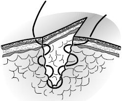 В. Лебедев, Геннадий Семенов - Топографическая анатомия и оперативная хирургия...