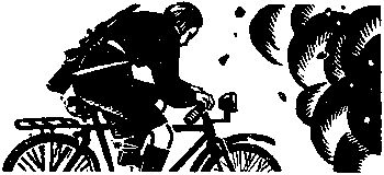 Петр Заводчиков, Семен Самойлов - Девичья команда. Невыдуманные рассказы